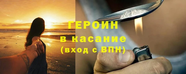 прущие грибы Волоколамск